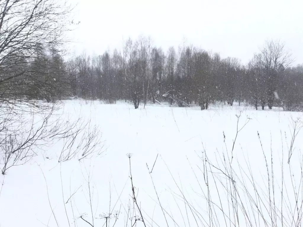 Участок в Московская область, Сергиево-Посадский городской округ, с. ... - Фото 0