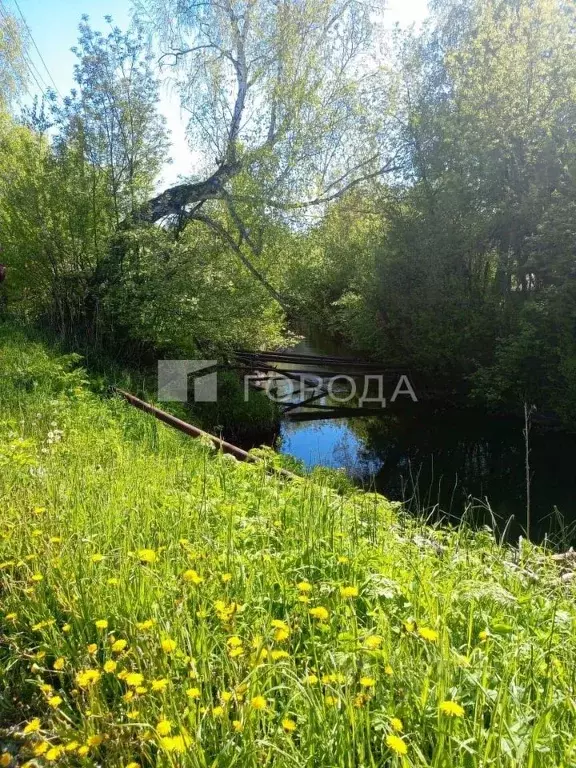 Участок в Новосибирская область, Новосибирский район, Раздольненский ... - Фото 0