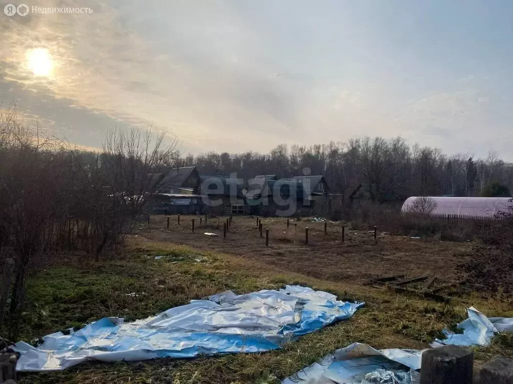 Участок в Курганская область, Кетовский муниципальный округ, СНТ ... - Фото 2