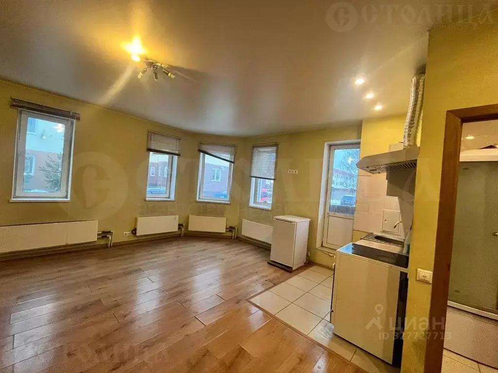 Студия Московская область, Богородский городской округ, д. Новая ... - Фото 2