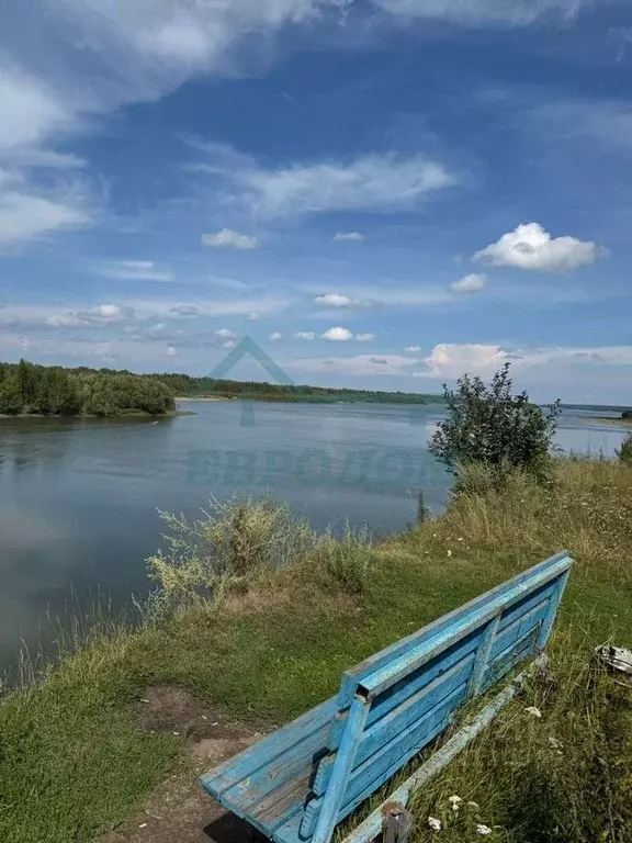 Участок в Новосибирская область, Мошковский район, с. Белоярка Дачная ... - Фото 1