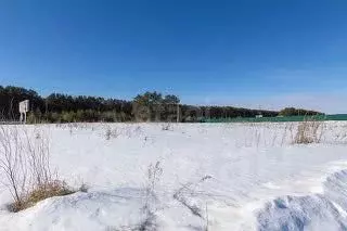 Участок в Тюменская область, Тюменский муниципальный округ, ... - Фото 1