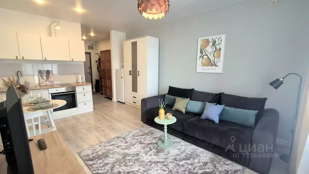 Студия Московская область, Реутов Носовихинское ш., 43 (27.6 м) - Фото 1