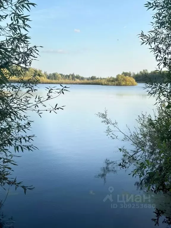 Участок в Марий Эл, Йошкар-Ола городской округ, д. Апшакбеляк  (12.0 ... - Фото 0