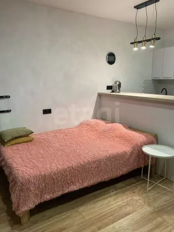 Студия Новосибирская область, Новосибирск ул. Кошурникова, 22/2 (29.4 ... - Фото 2