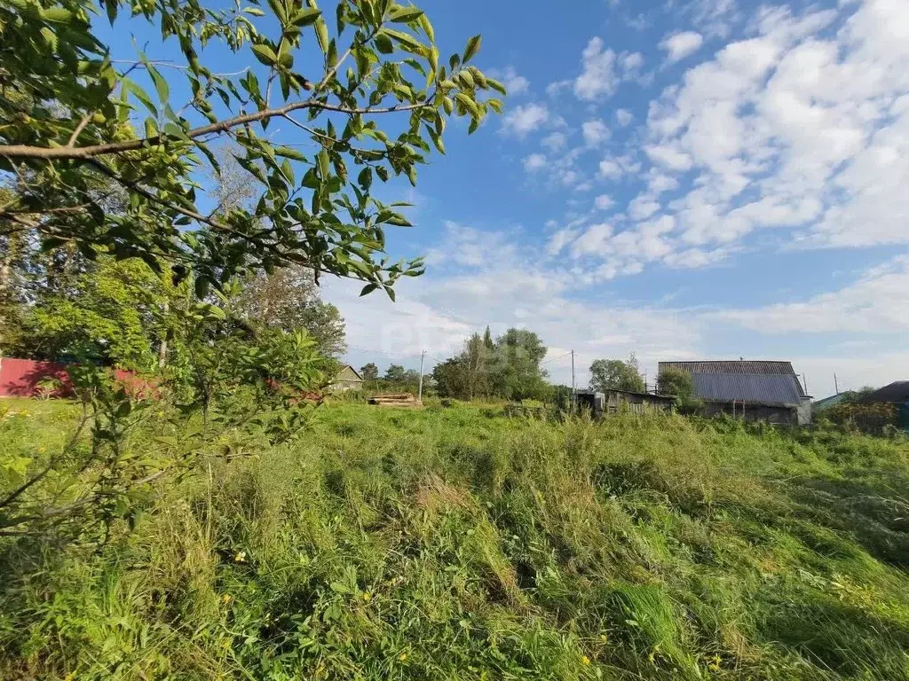 Участок в Еврейская автономная область, Смидовичский район, пос. ... - Фото 1