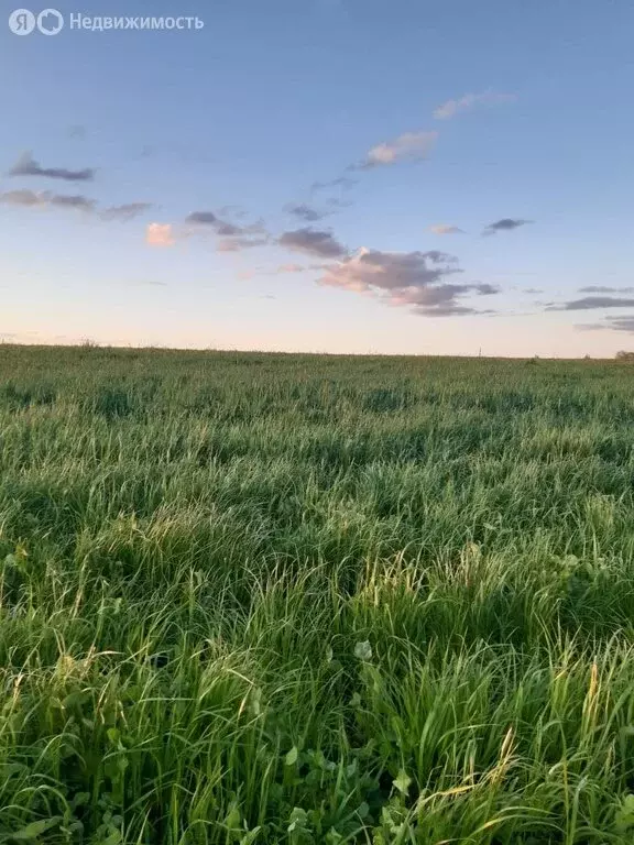 Участок в Московская область, городской округ Клин, деревня Троицино ... - Фото 0