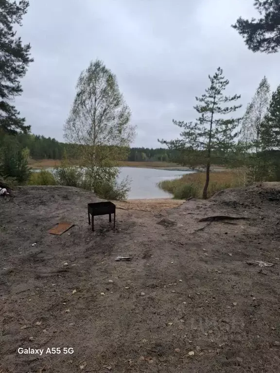 Участок в Марий Эл, Медведевский район, Сидоровское с/пос, Березка ... - Фото 0