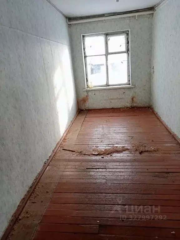 Помещение свободного назначения в Алтайский край, Зональный район, с. ... - Фото 2