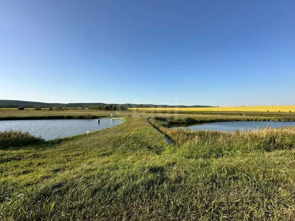 Участок в Саратовская область, Новобурасское муниципальное ... - Фото 2