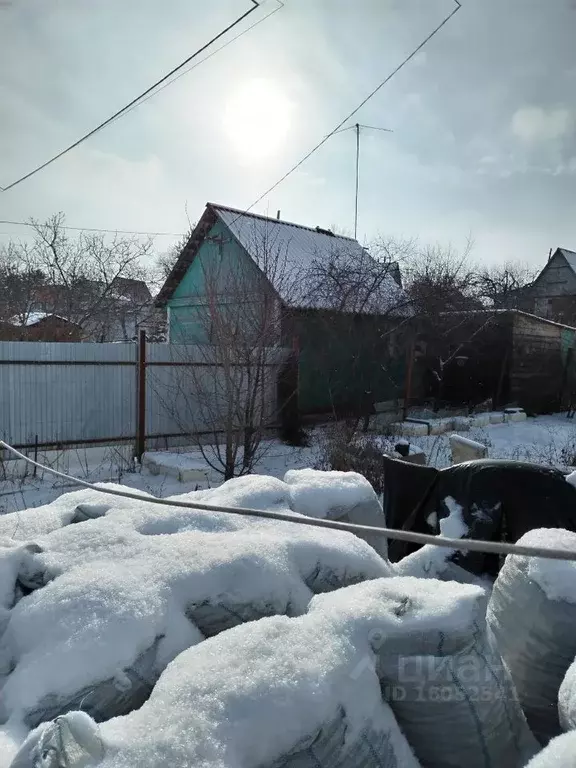 Погода в расловке 2 саратовская область саратовский