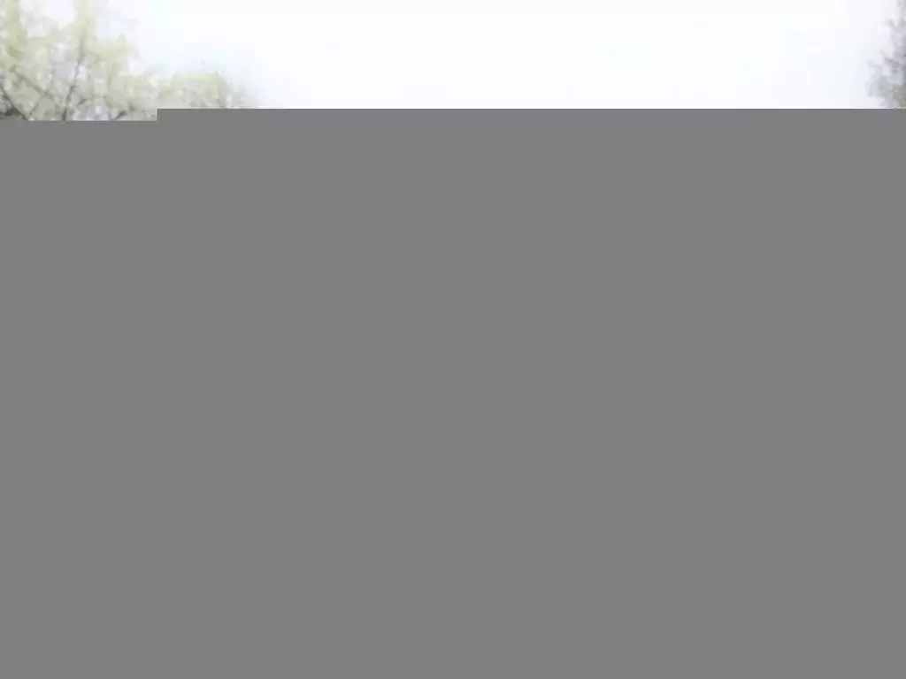 Участок в Нижегородская область, Нижний Новгород Белополье СНТ, 175 ... - Фото 1