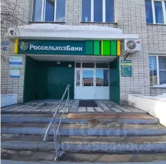 Помещение свободного назначения в Курганская область, Шумиха ул. ... - Фото 1