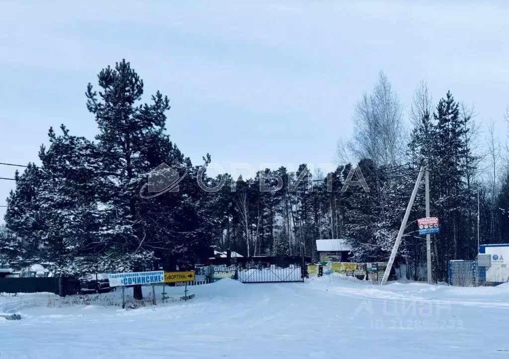 Участок в Тюменская область, Нижнетавдинский район, Фортуна СТ ул. 4-я ... - Фото 1