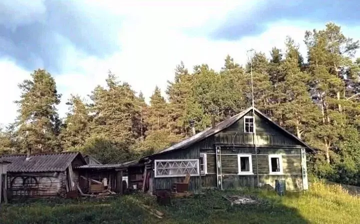 Дом в Псковская область, Пушкинские Горы рп пер. Пушкинский, 7 (38 м) - Фото 1