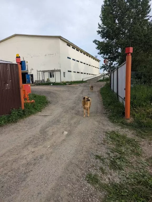 Гараж в Московская область, Звенигород Одинцовский городской округ, ... - Фото 0