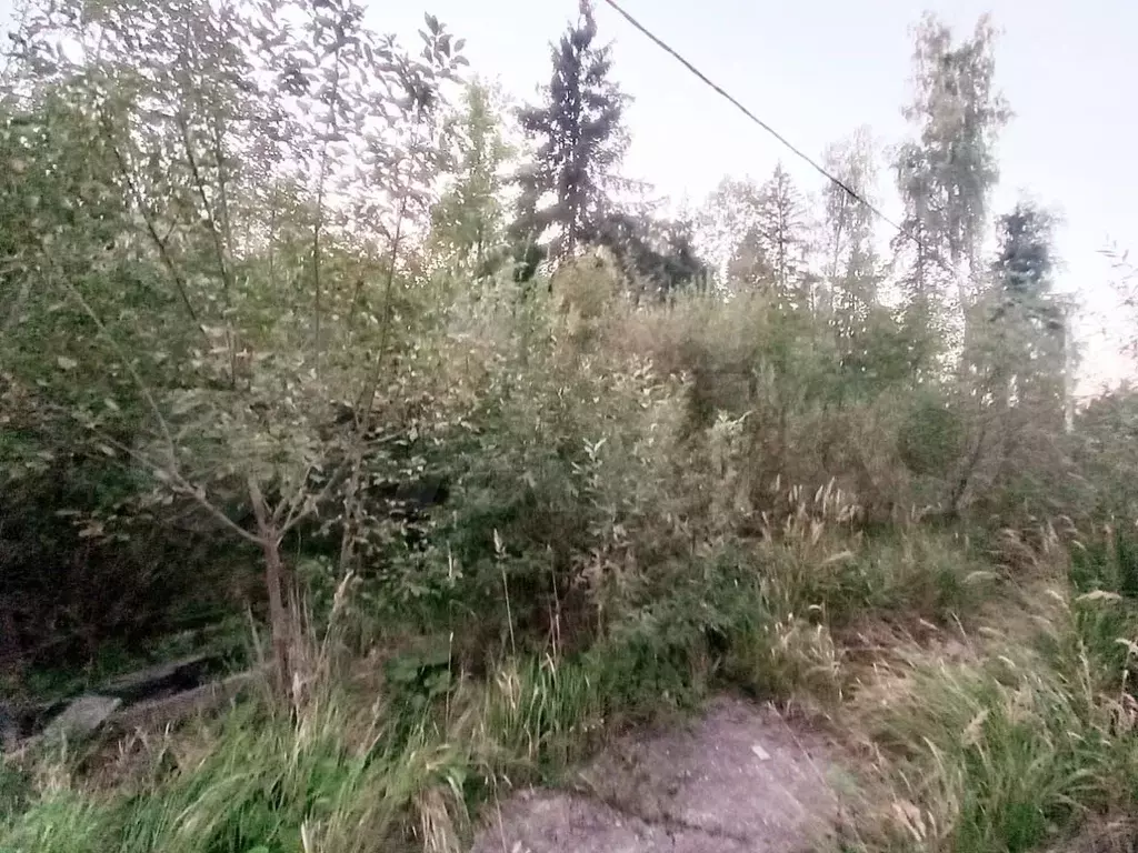 Участок 20 сот. (СНТ, ДНП) - Фото 1