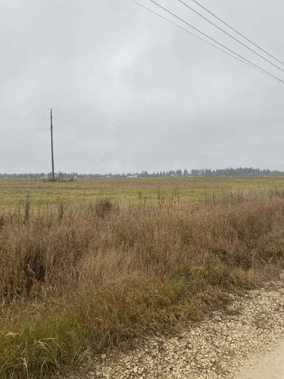 Участок в Липецкая область, Липецкий муниципальный округ, д. Новая  ... - Фото 2