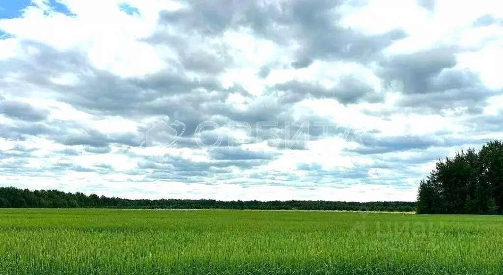 Участок в Тюменская область, Тюменский район, с. Горьковка Тепличная ... - Фото 1