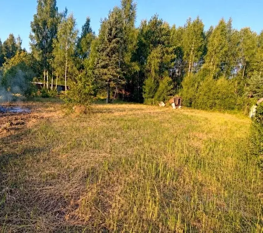 Участок в Московская область, Видное Вокзальная ул. (8.0 сот.) - Фото 2