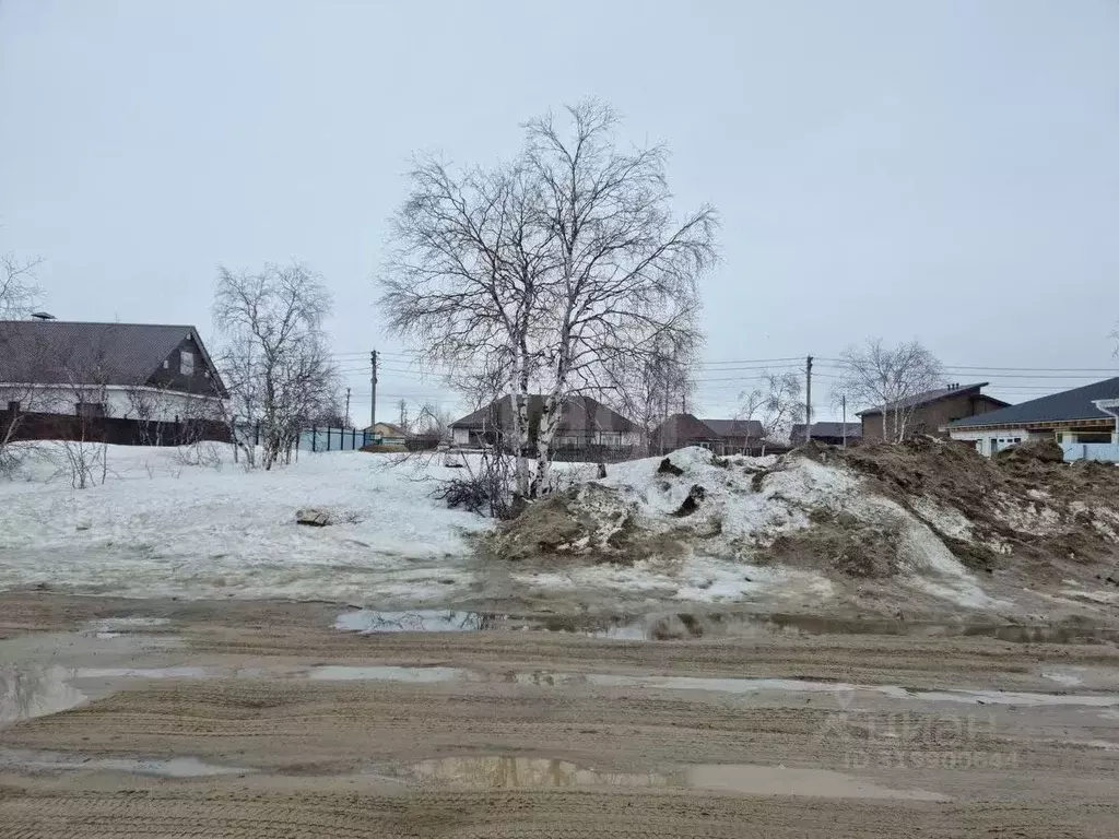 Участок в Ямало-Ненецкий АО, Новый Уренгой Дружба ДНТ, проезд 1-й ... - Фото 1