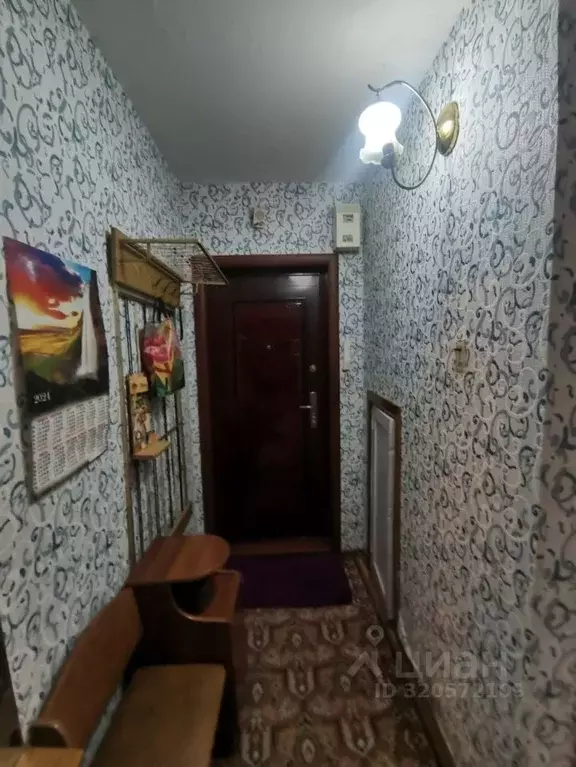 1-к кв. Алтайский край, Бийск ул. Ильи Мухачева, 151 (30.4 м) - Фото 2