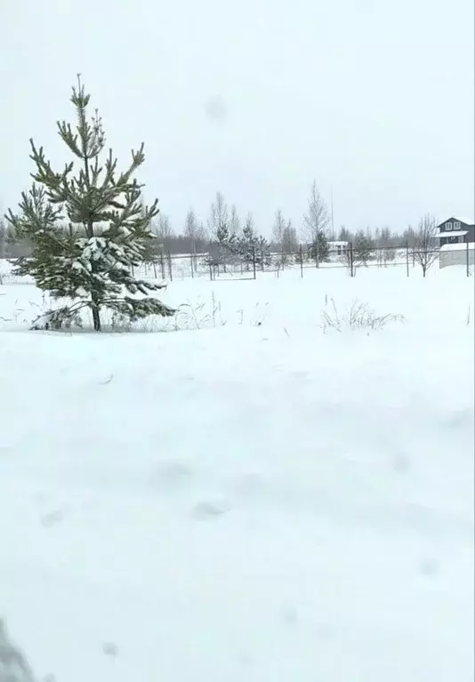 Участок в Марий Эл, Йошкар-Ола городской округ, д. Шоя-Кузнецово пер. ... - Фото 1