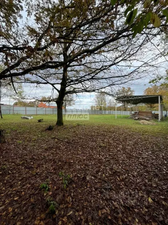 Участок в Краснодарский край, Апшеронский район, Нефтегорское ... - Фото 2