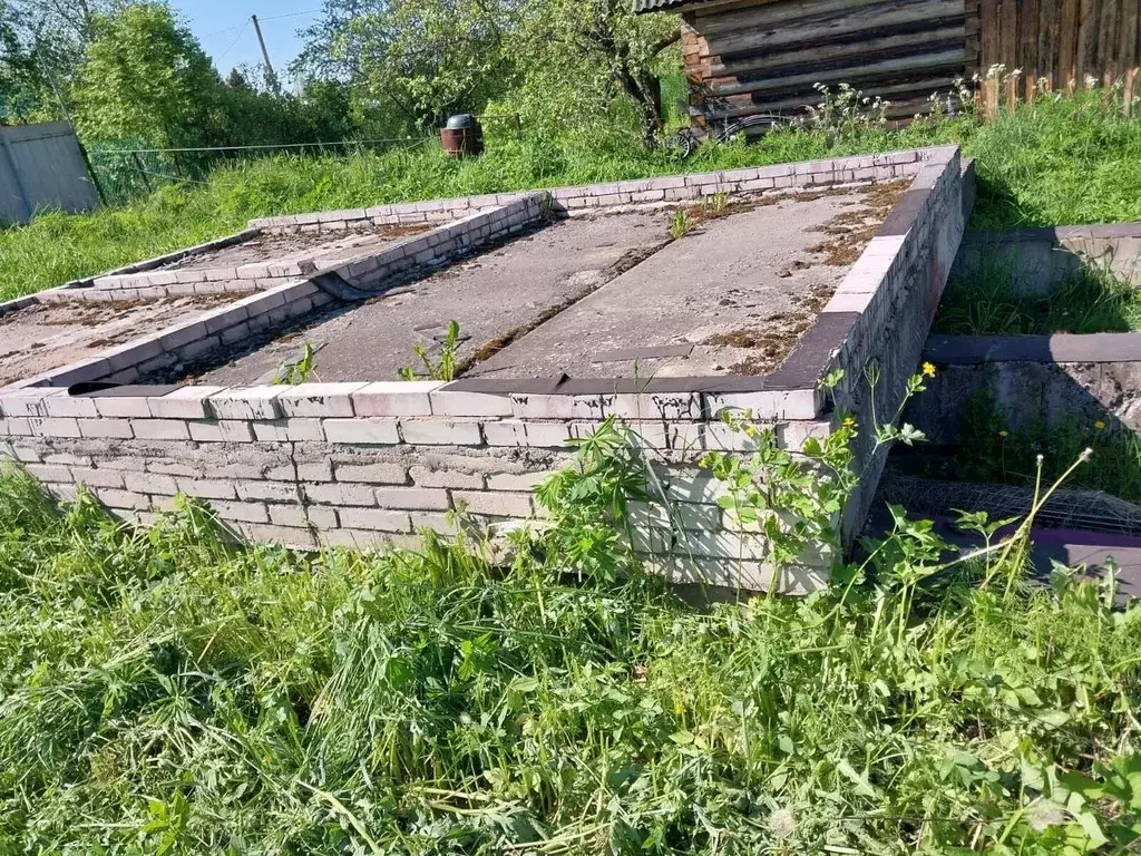Участок в Ленинградская область, Лужский район, Мшинское с/пос, ... - Фото 1