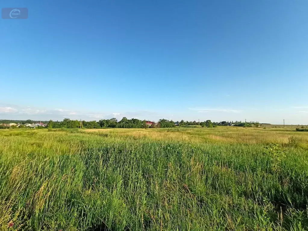 Участок в Воронежская область, Новоусманский район, с. Орлово  (9.0 ... - Фото 1