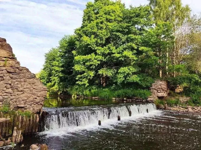 Участок в Новгородская область, Крестецкий муниципальный округ, с. ... - Фото 1