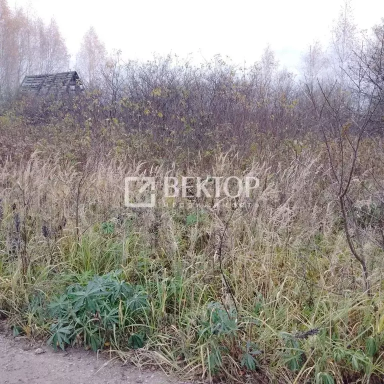 Участок в Костромская область, Кострома Русь СТ,  (6.0 сот.) - Фото 1