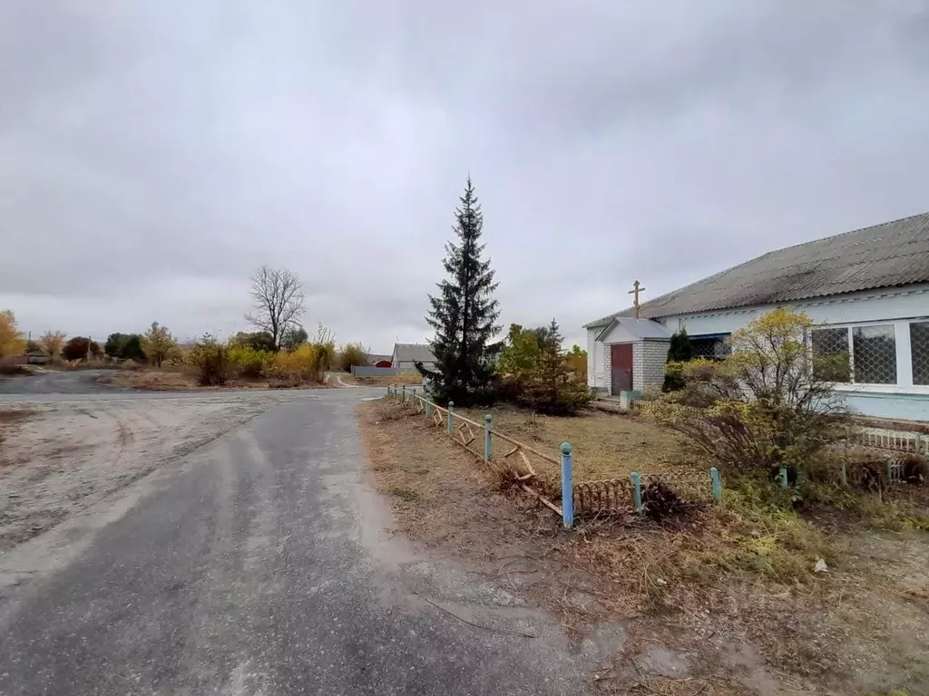 Помещение свободного назначения в Белгородская область, ... - Фото 2