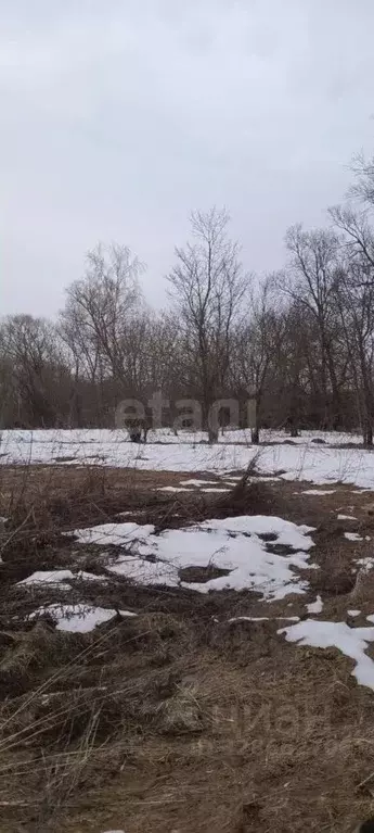 Участок в Липецкая область, Грязинский муниципальный округ, с. Бутырки ... - Фото 1