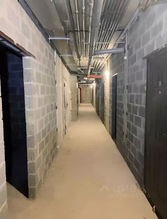 Помещение свободного назначения в Краснодарский край, Анапа ул. ... - Фото 1