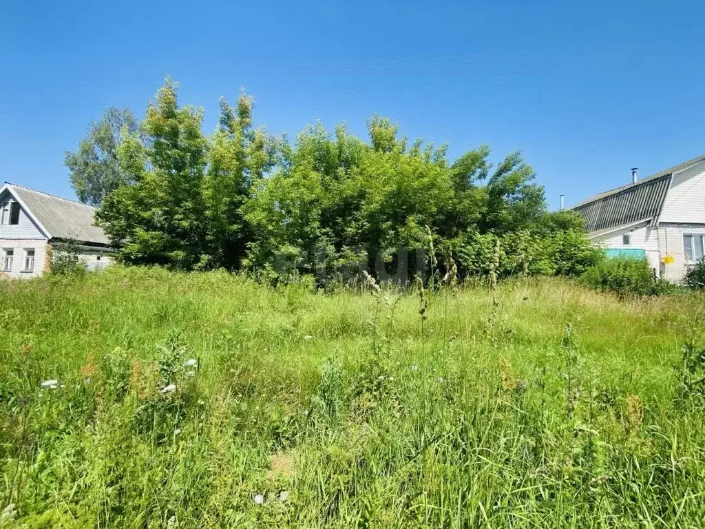 Участок в Владимирская область, Меленковский муниципальный округ, с. ... - Фото 2