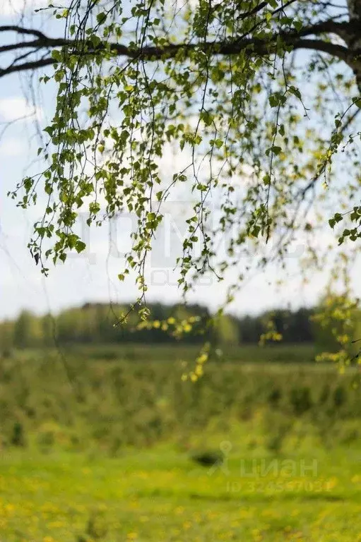 Участок в Свердловская область, Арамиль Микрорайон Теплое Поле,  (13.0 ... - Фото 1