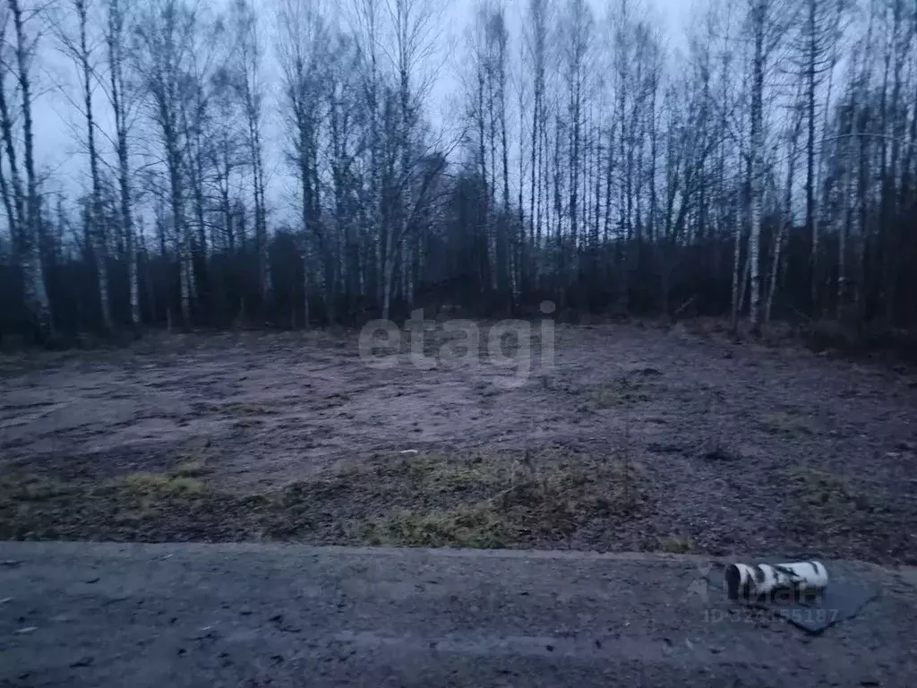 Участок в Марий Эл, Оршанский район, Марковское с/пос, с. Табашино ул. ... - Фото 1