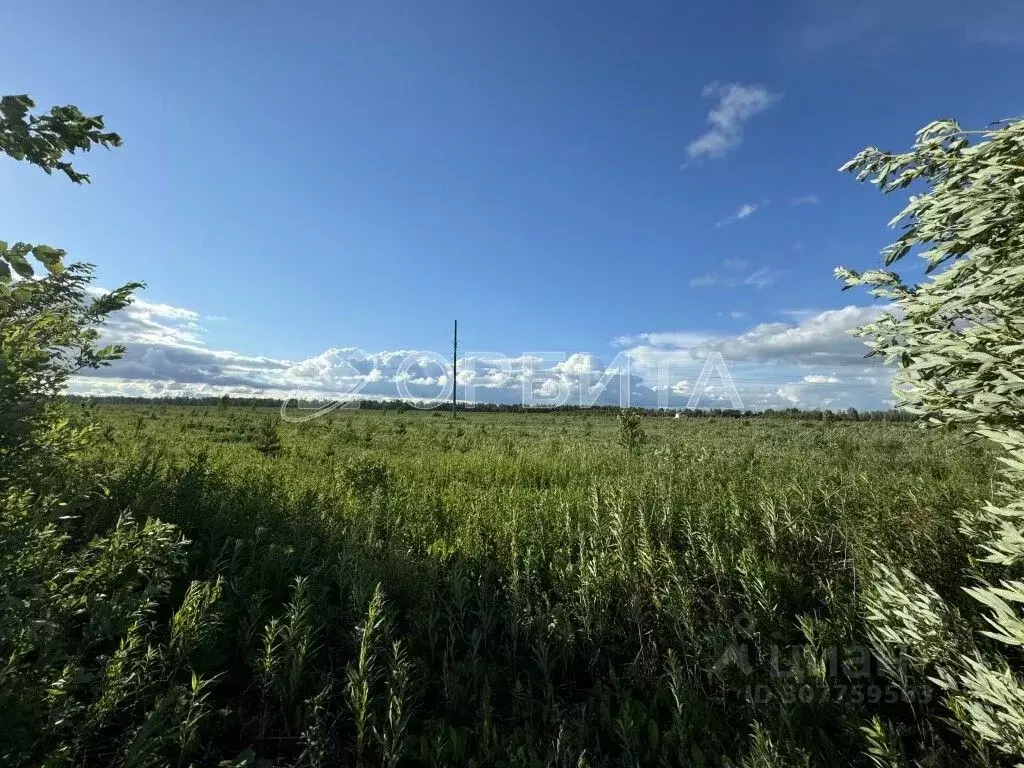 Участок в Тюменская область, Тюменский район, с. Горьковка  (500.0 ... - Фото 1