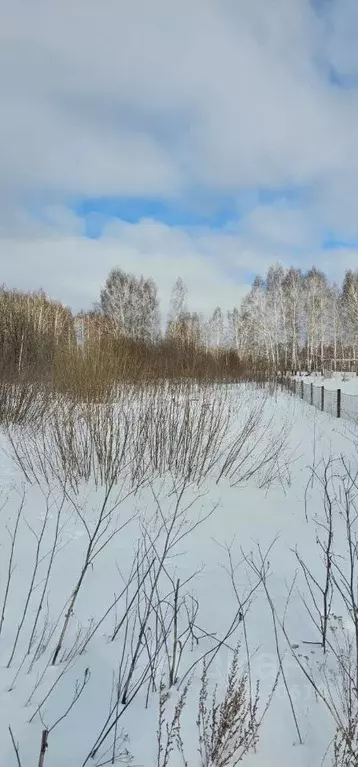 Участок в Новосибирская область, Новосибирск Озерное СНТ, 173 (10.0 ... - Фото 0