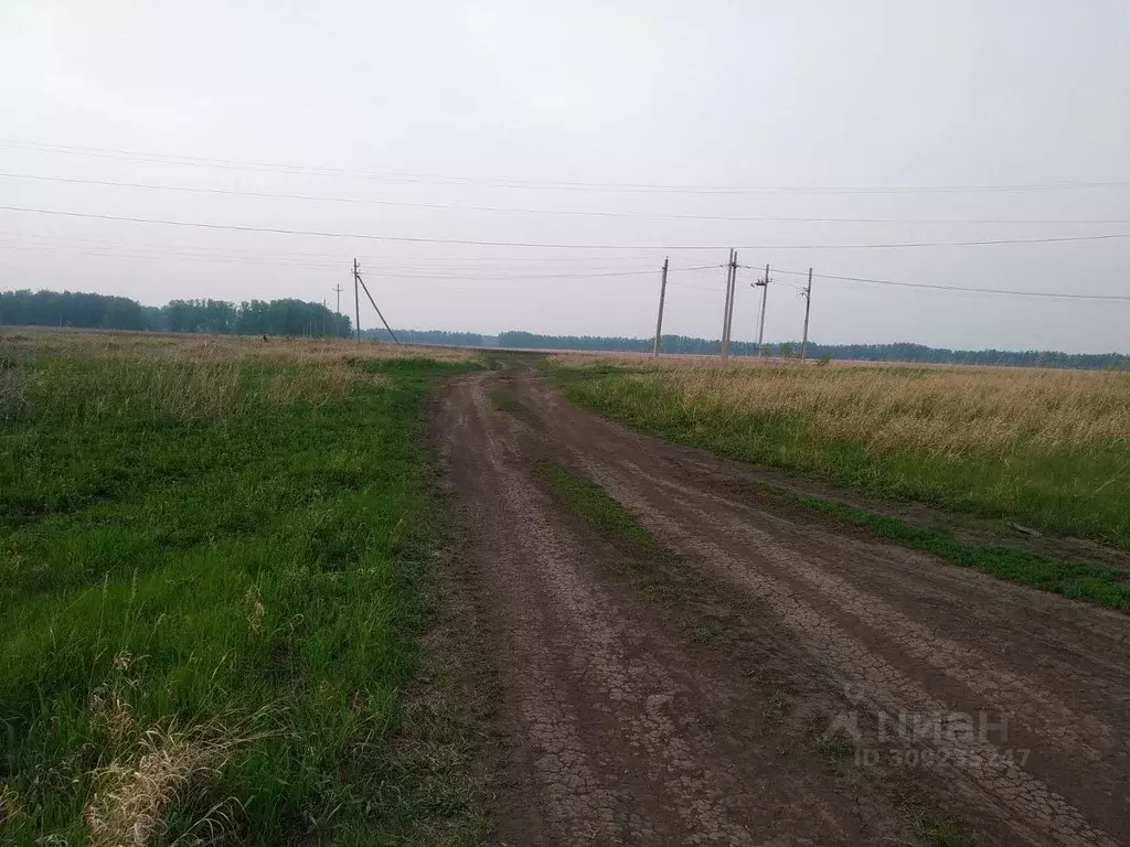 Участок в Омская область, Омск СОСН Сигнал тер.,  (6.0 сот.) - Фото 0