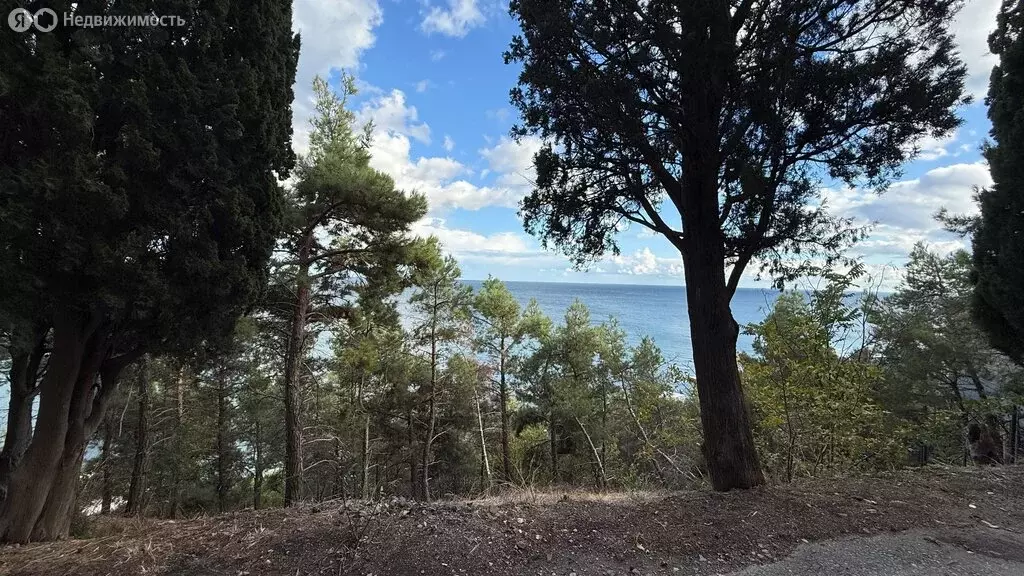 Участок в Алушта, аллея Декабристов (14.2 м) - Фото 1