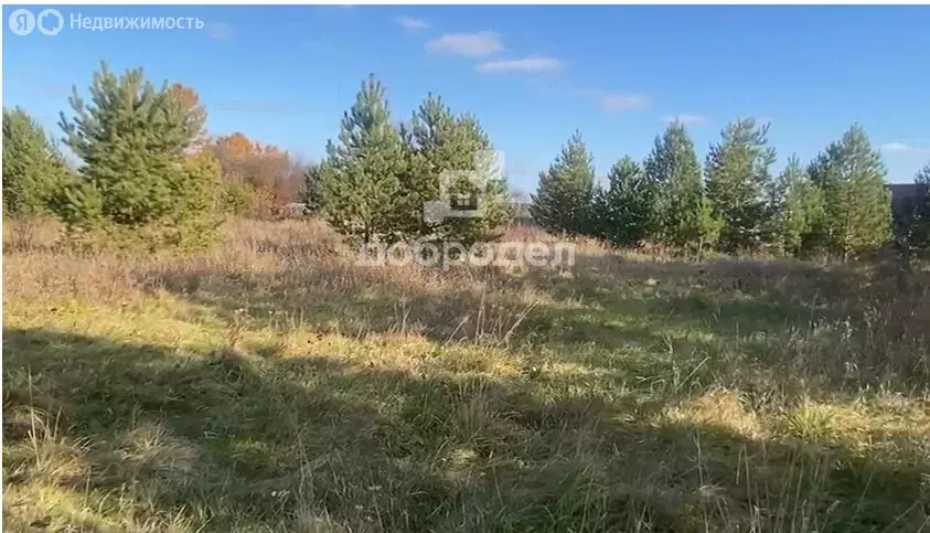Участок в Свердловская область, Белоярский муниципальный округ, ... - Фото 0