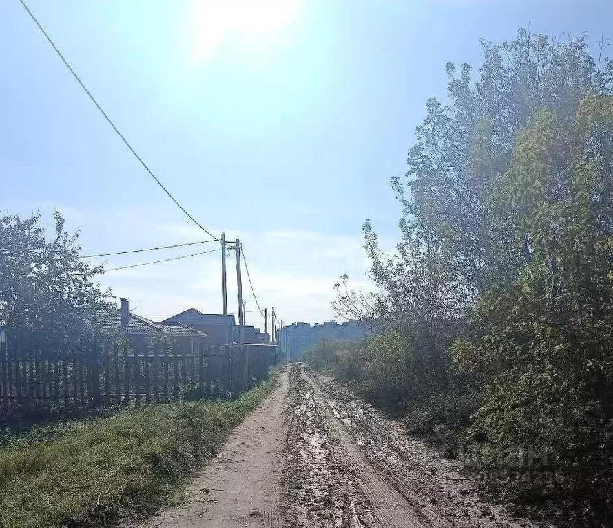 Участок в Брянская область, Брянский район, Снежское с/пос, пос. ... - Фото 1