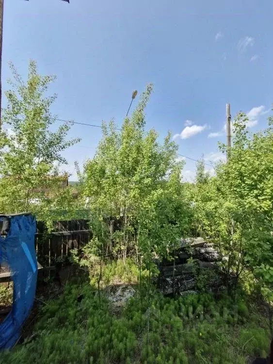 Дом в Иркутская область, Иркутск Лесной мкр, Садовая ул., 26 (63 м) - Фото 1