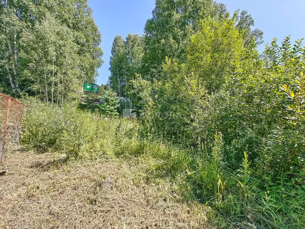 Участок в Новосибирская область, Новосибирск  (7.2 сот.) - Фото 0