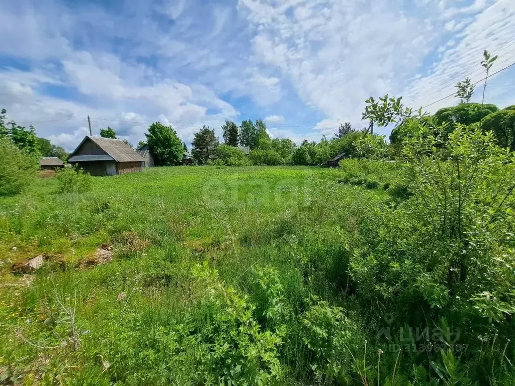 Участок в Вологодская область, Шекснинский муниципальный округ, с. ... - Фото 1