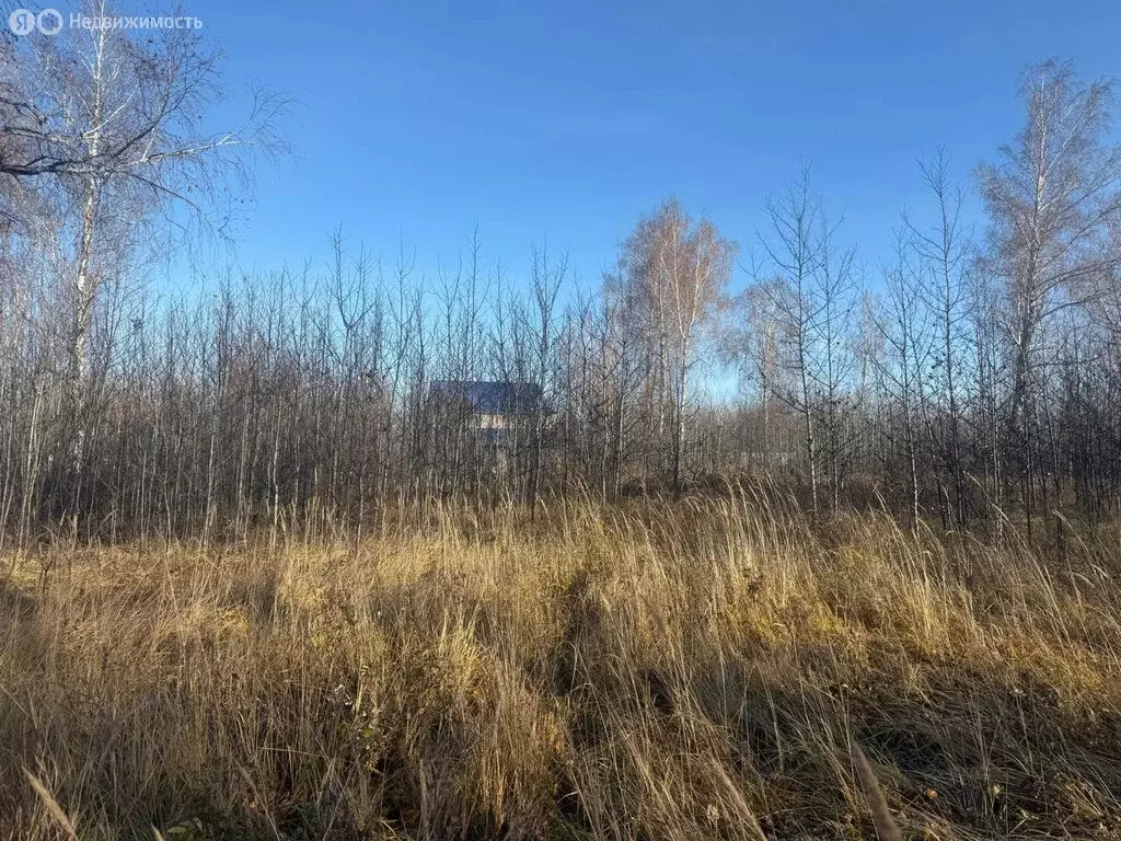 Участок в Челябинская область, Красноармейский муниципальный округ, ... - Фото 2