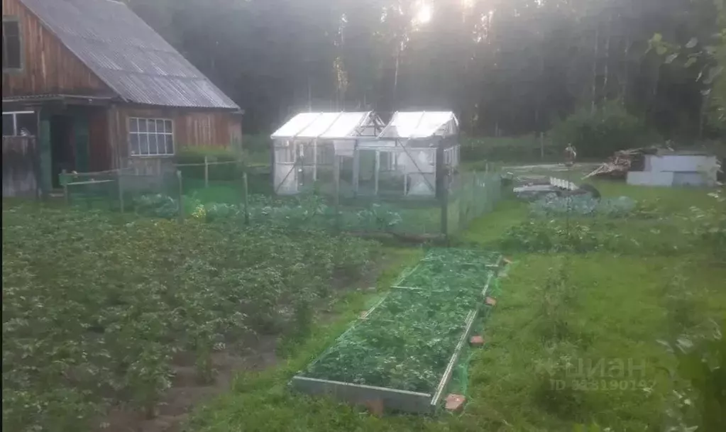 Участок в Томская область, Томский район, д. Кисловка, Огонек садовое ... - Фото 0