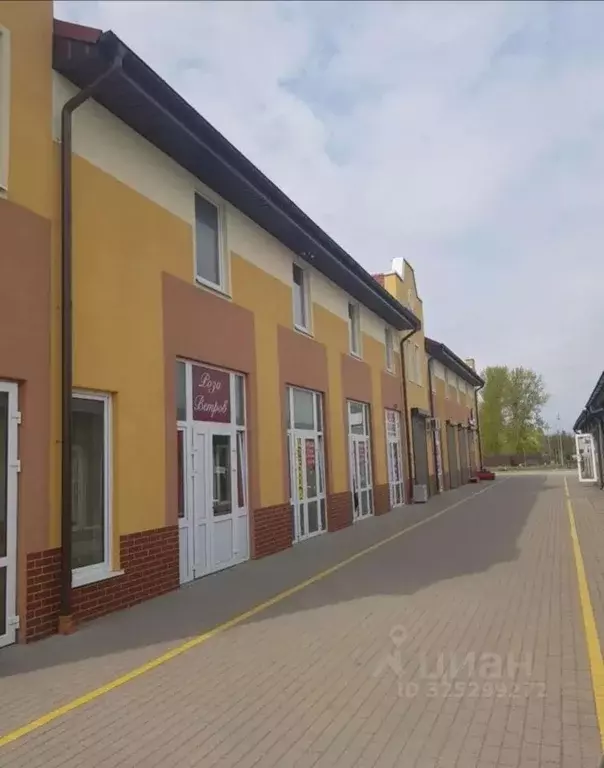 Помещение свободного назначения в Калининградская область, Гурьевск ... - Фото 1